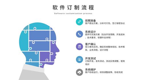 軟件訂制 erp軟件訂制 新頁軟件官網