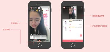 詳解電商直播平臺系統(tǒng)定制開發(fā)app模式 網(wǎng)紅 電商怎么做