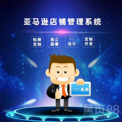 亞馬遜erp系統貼牌定制開發