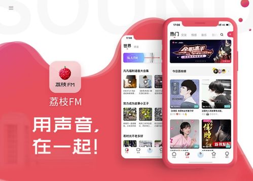 語(yǔ)音app開發(fā) 開發(fā)一個(gè)語(yǔ)音app需要多錢 語(yǔ)音聊天app開發(fā)方案