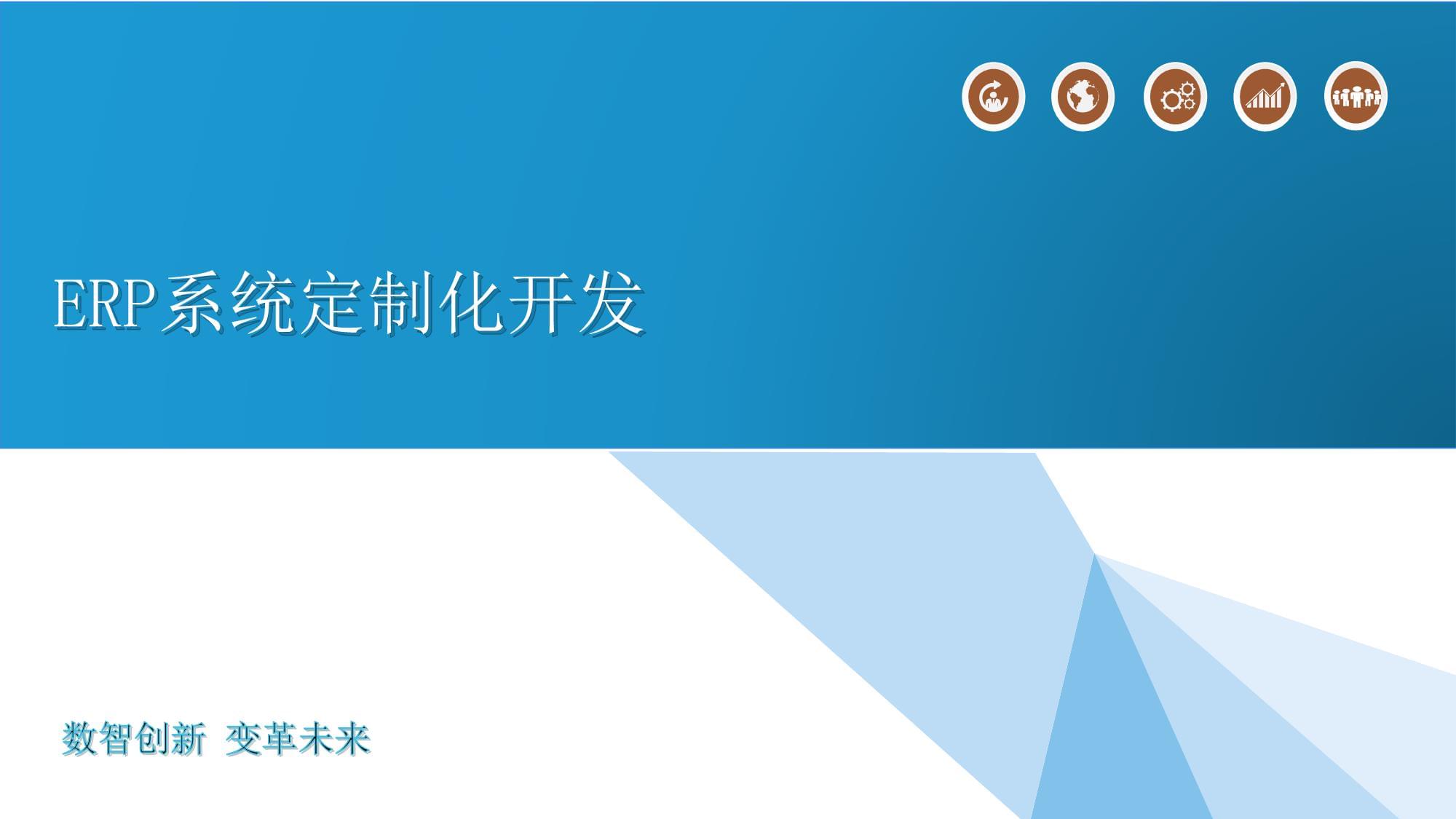 ERP系統(tǒng)定制化開發(fā)詳述