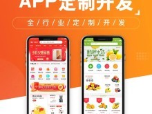 衡陽軟件開發公司