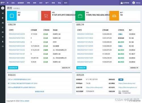 dberp進(jìn)銷存系統(tǒng) v1.1 rc 221101